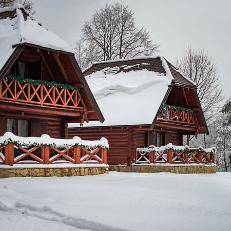 Villa Brvnare Park Borova à Zlatibor Extérieur photo