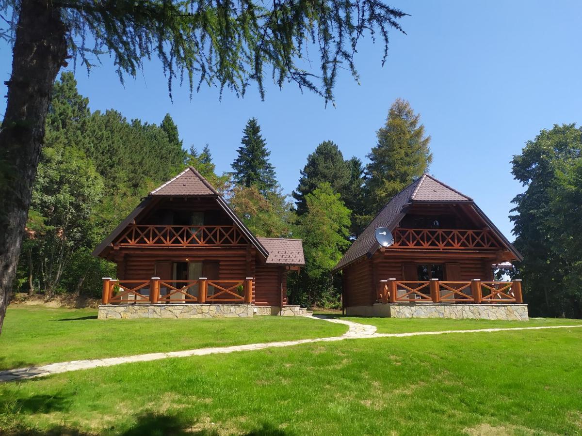 Villa Brvnare Park Borova à Zlatibor Extérieur photo