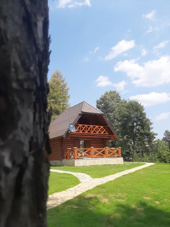 Villa Brvnare Park Borova à Zlatibor Extérieur photo
