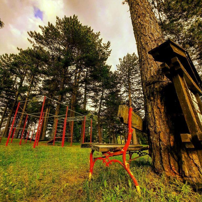 Villa Brvnare Park Borova à Zlatibor Extérieur photo