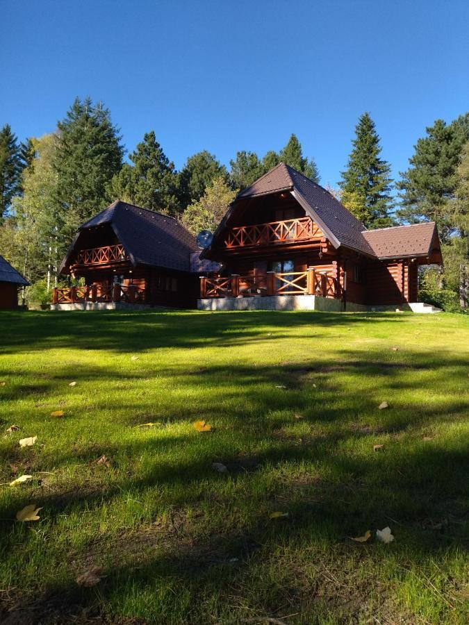 Villa Brvnare Park Borova à Zlatibor Extérieur photo
