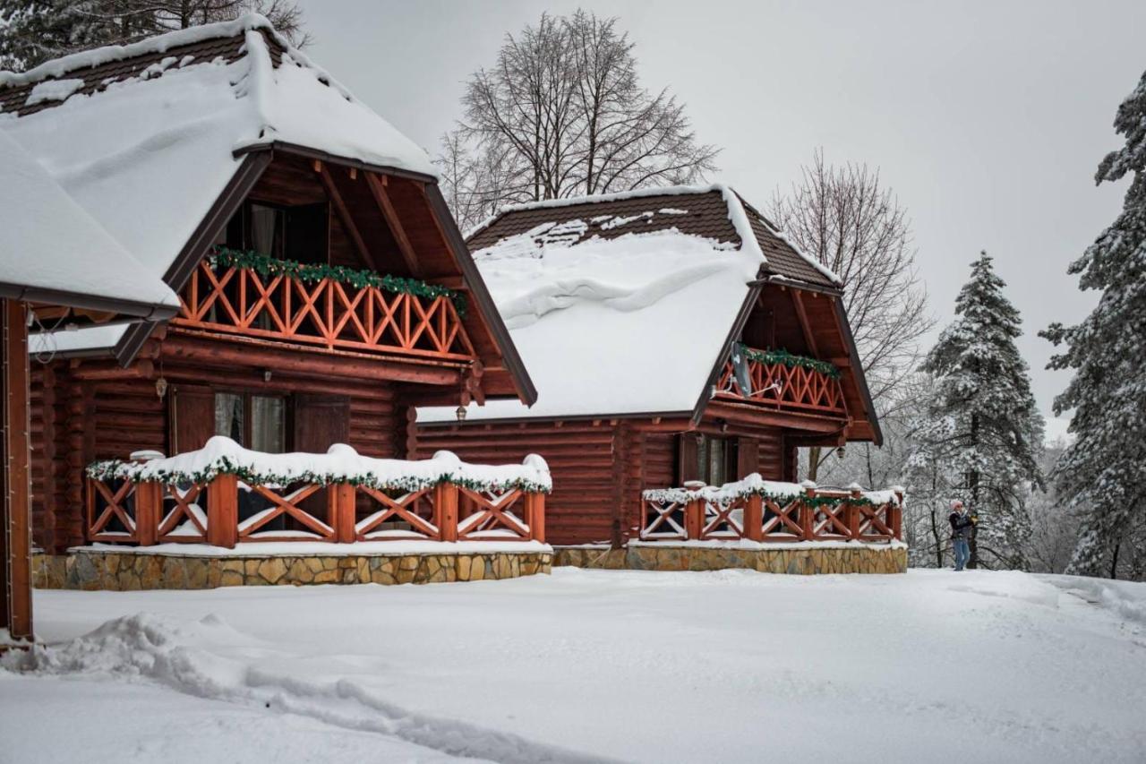 Villa Brvnare Park Borova à Zlatibor Extérieur photo