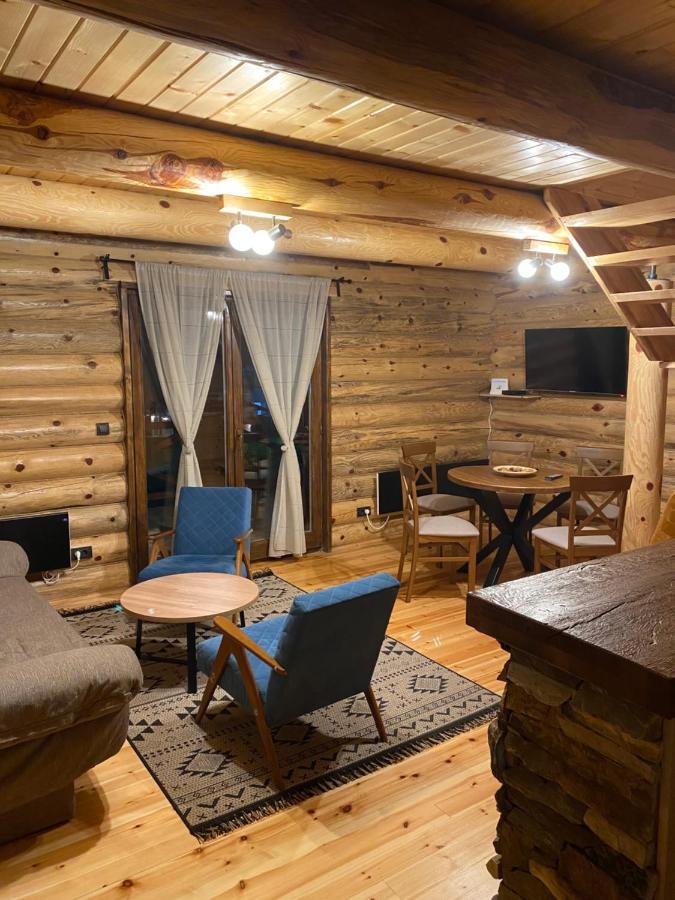 Villa Brvnare Park Borova à Zlatibor Extérieur photo