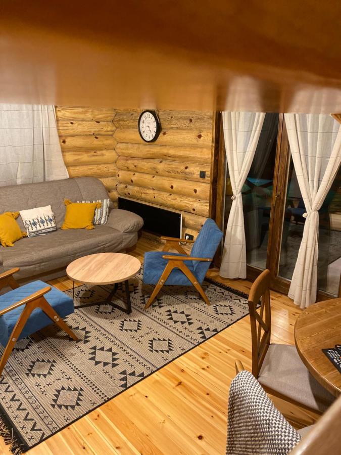 Villa Brvnare Park Borova à Zlatibor Extérieur photo