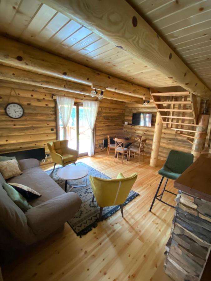 Villa Brvnare Park Borova à Zlatibor Extérieur photo