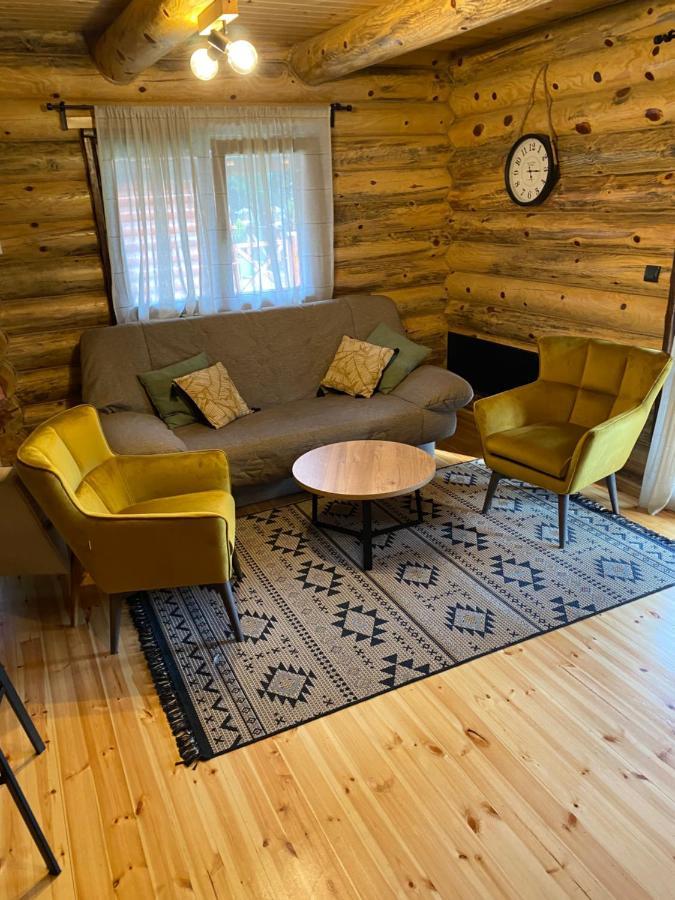 Villa Brvnare Park Borova à Zlatibor Extérieur photo
